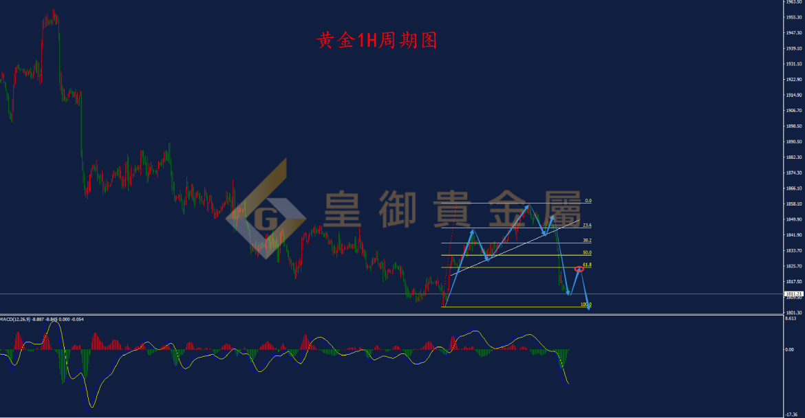 皇御黄金走势图