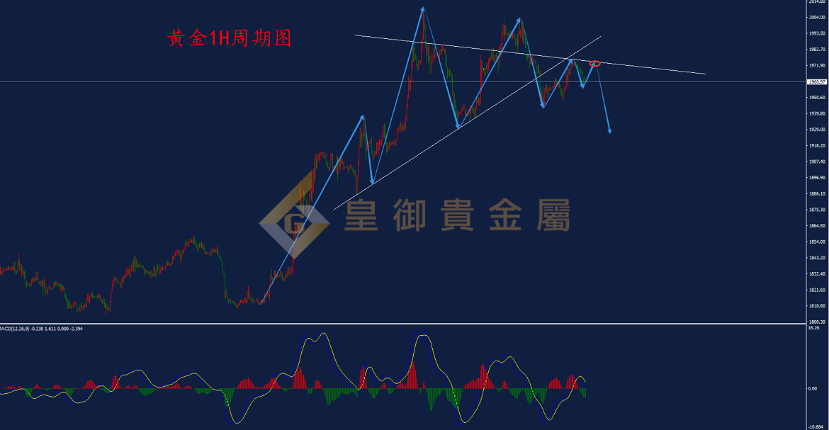 皇御黄金走势图