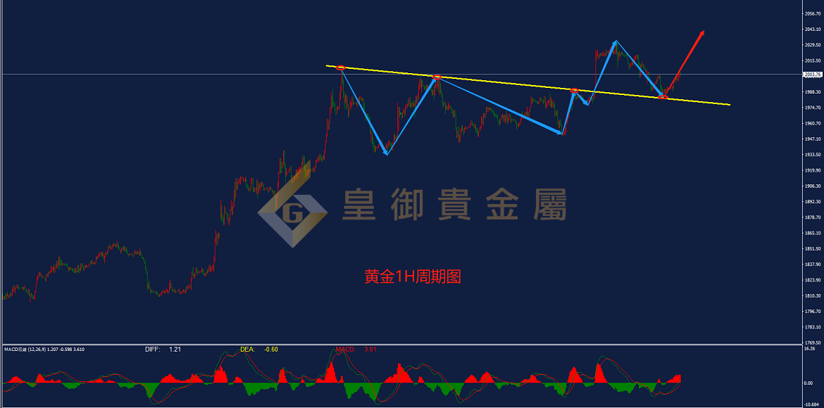 皇御黄金走势图