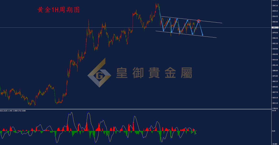 皇御黄金走势图