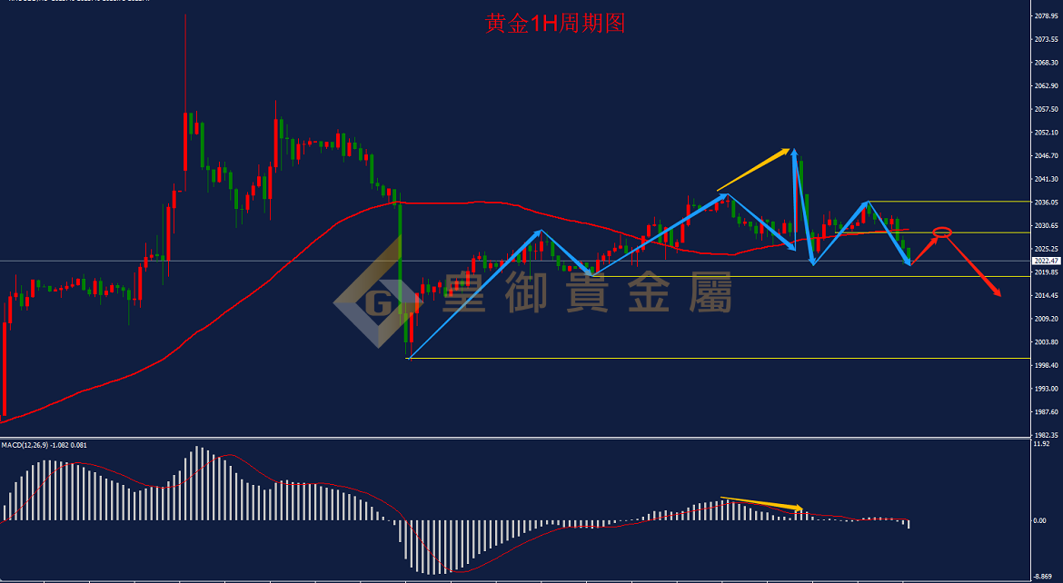 皇御黄金走势图