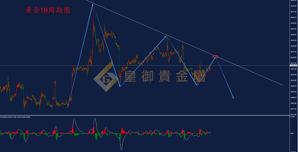 皇御黄金走势图