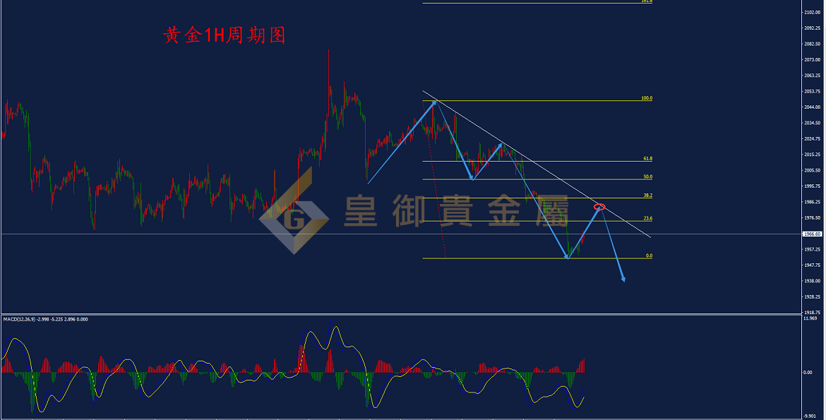 皇御黄金走势图