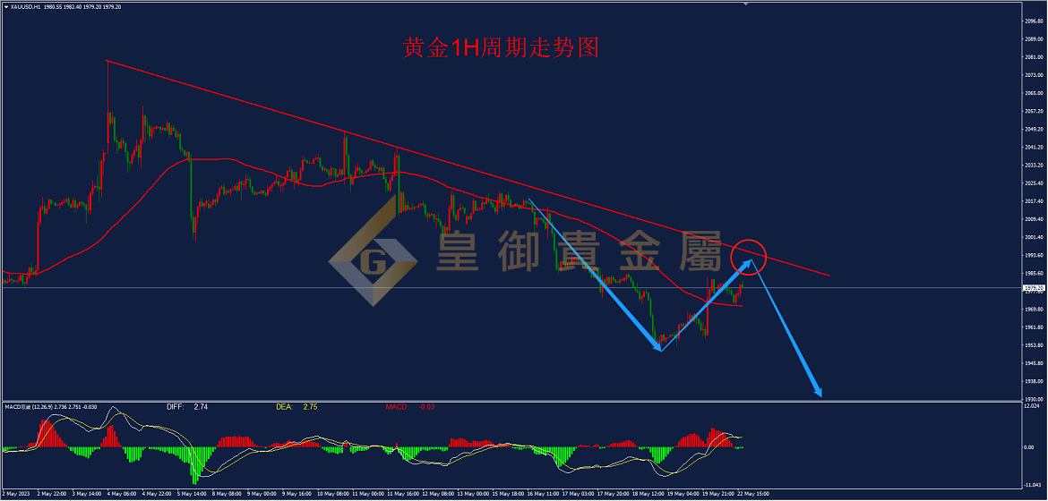 皇御黄金走势图