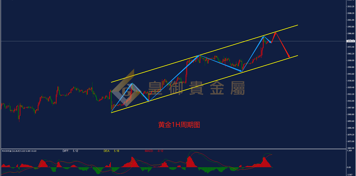 皇御黄金走势图