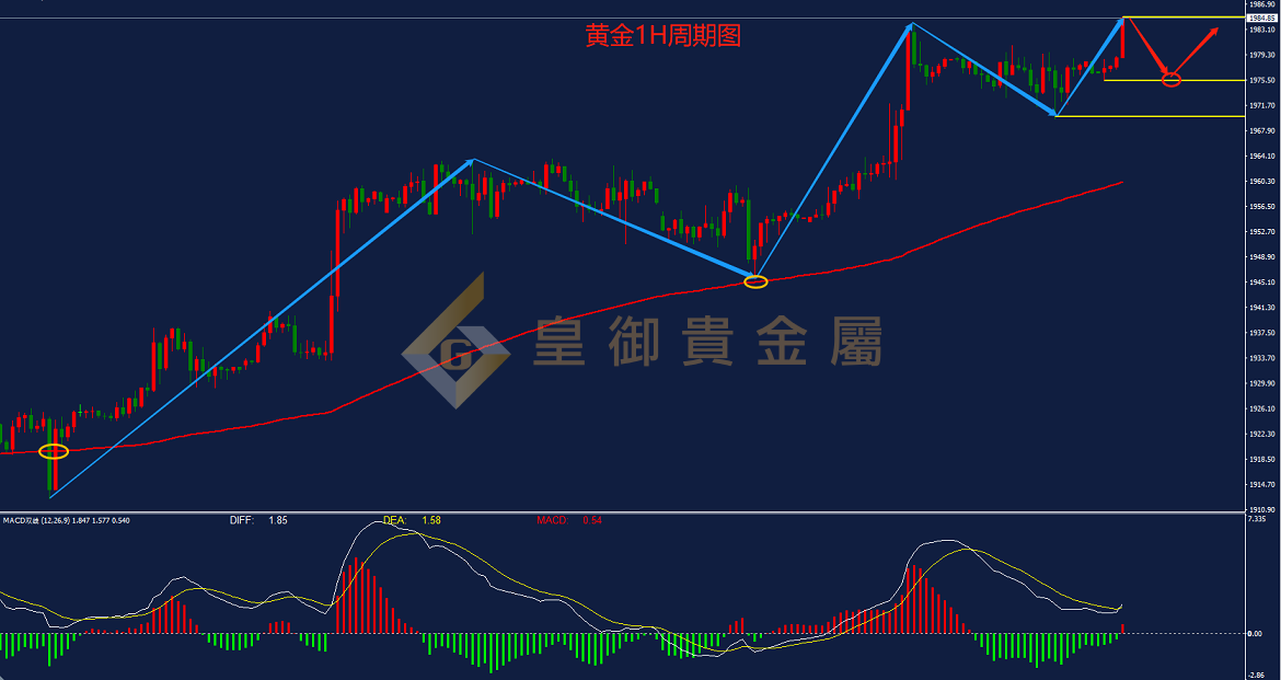 皇御黄金走势图