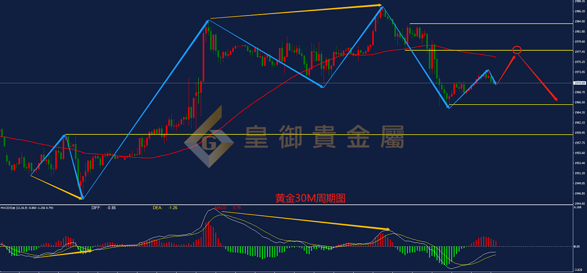 皇御黄金走势图