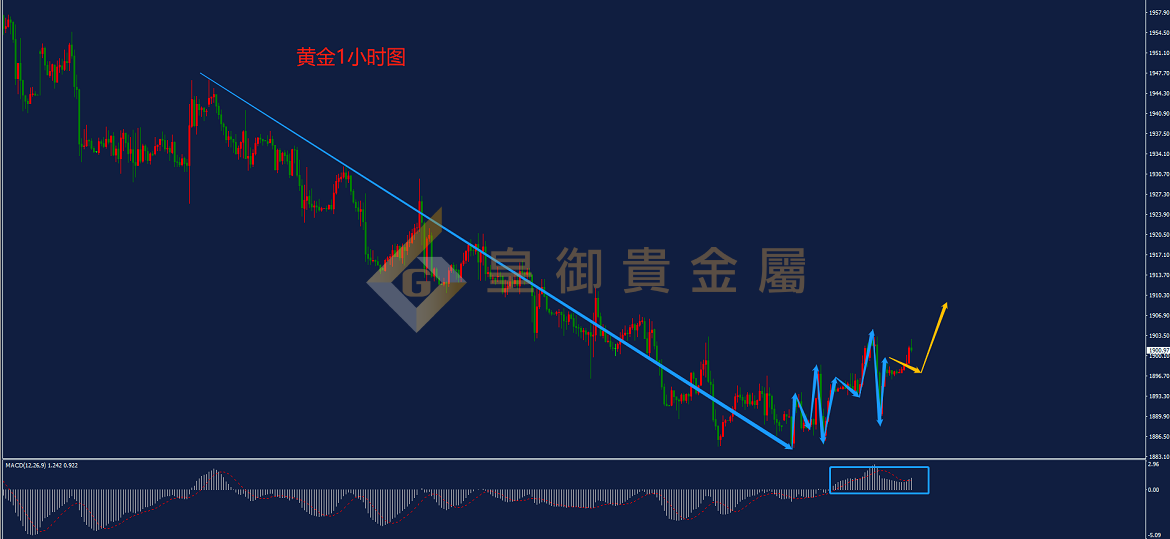 皇御黄金走势图