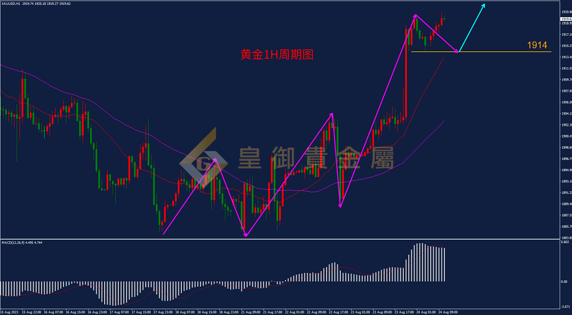 皇御黄金走势图
