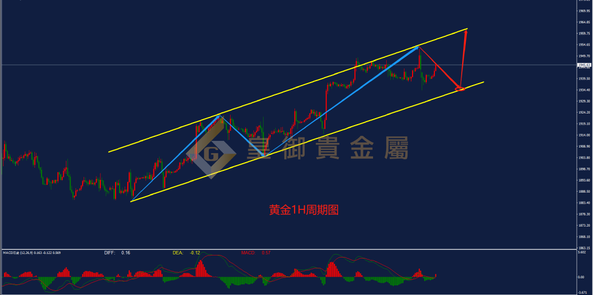 皇御黄金走势图