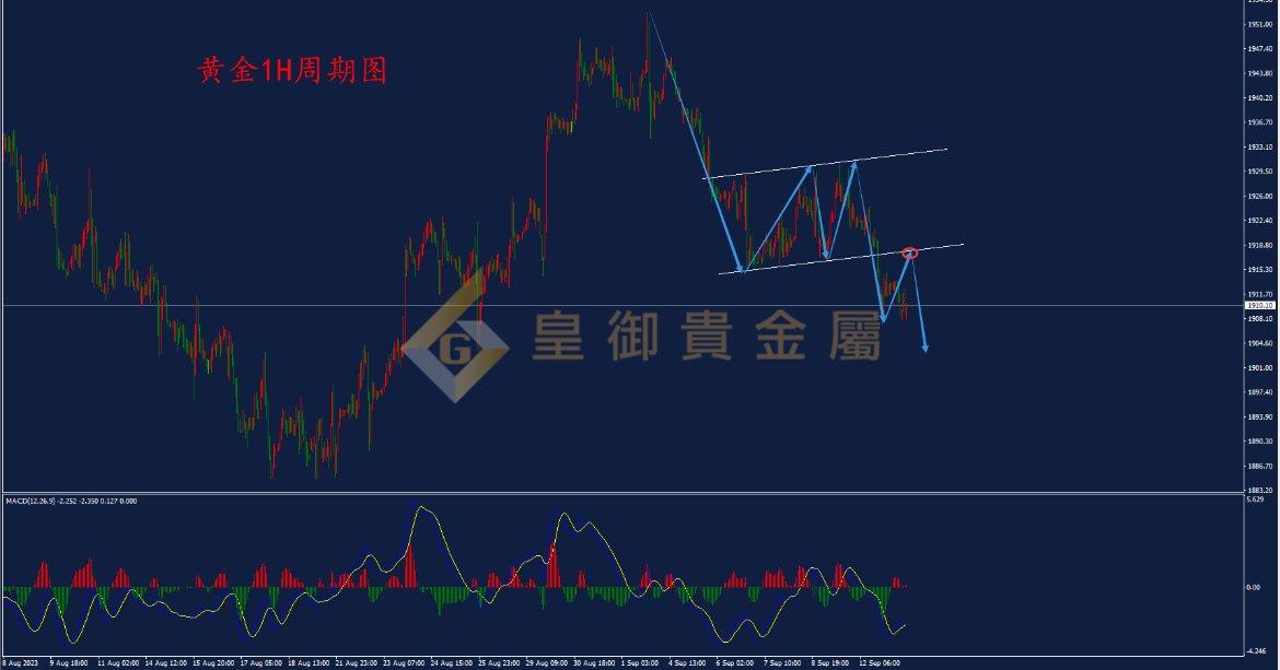 皇御黄金走势图 皇御黄金走势图