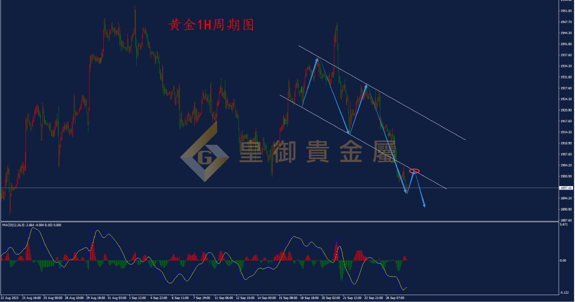 皇御黄金走势图 皇御黄金走势图
