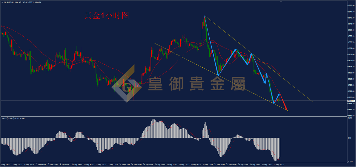 皇御黄金走势图 皇御黄金走势图
