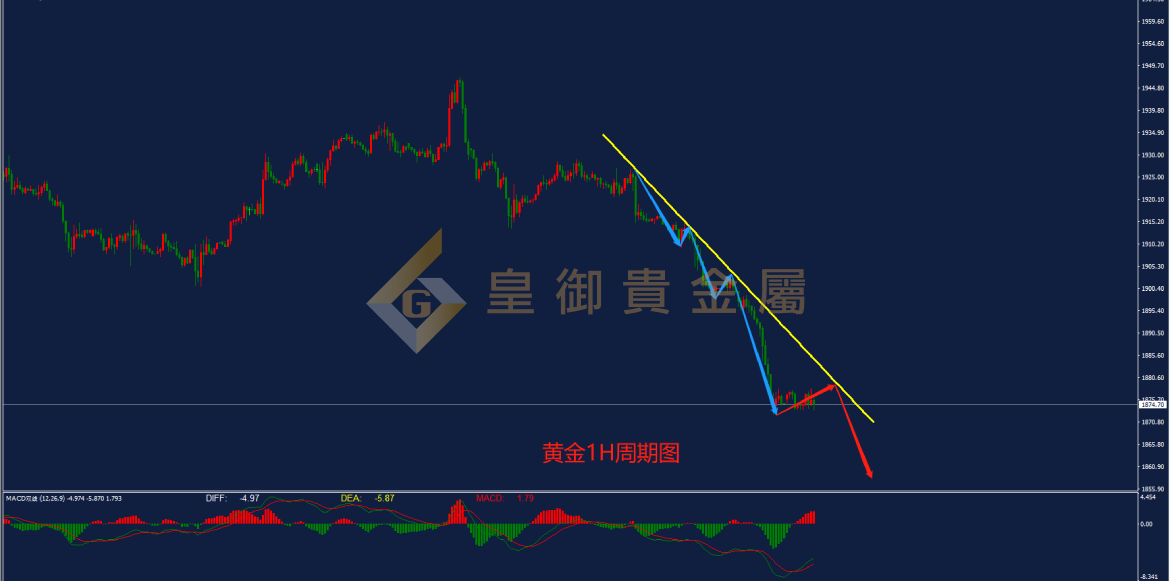 皇御黄金走势图 皇御黄金走势图