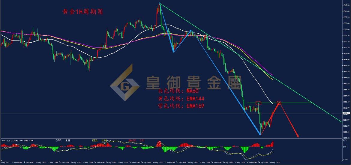 皇御黄金走势图