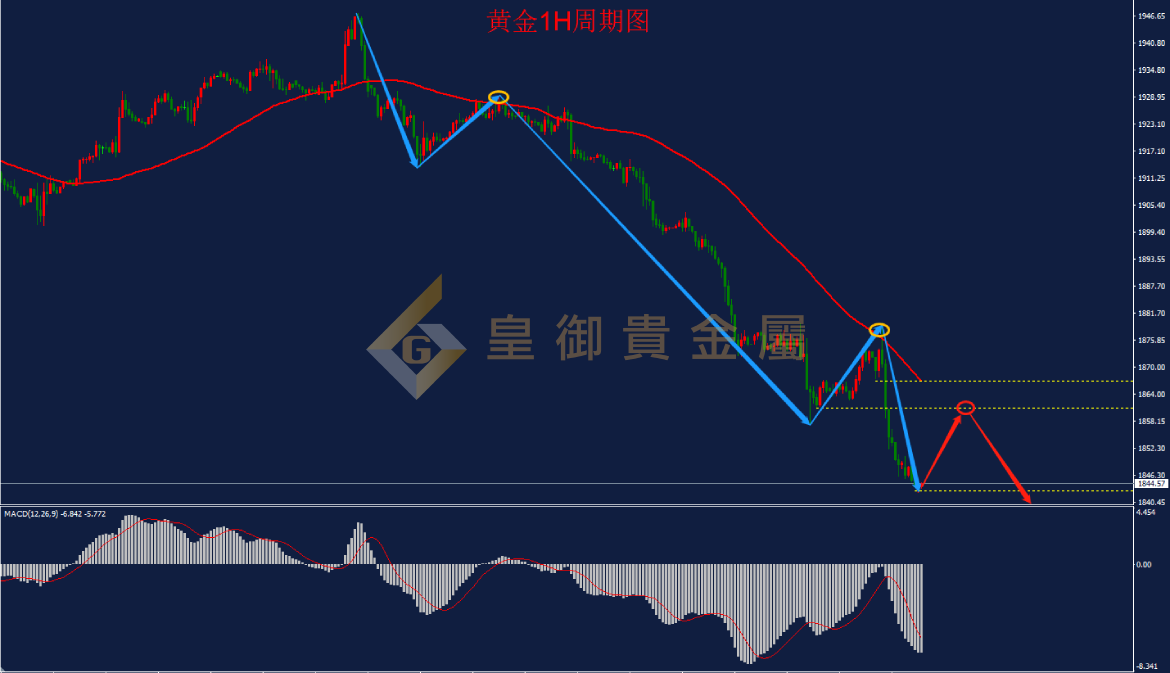 皇御黄金走势图