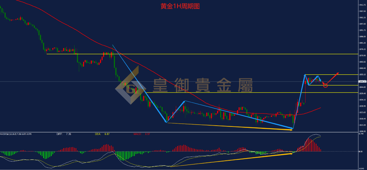 皇御黄金走势图