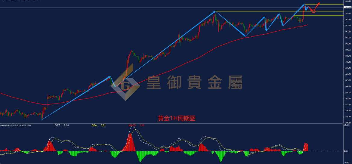 皇御黄金走势图