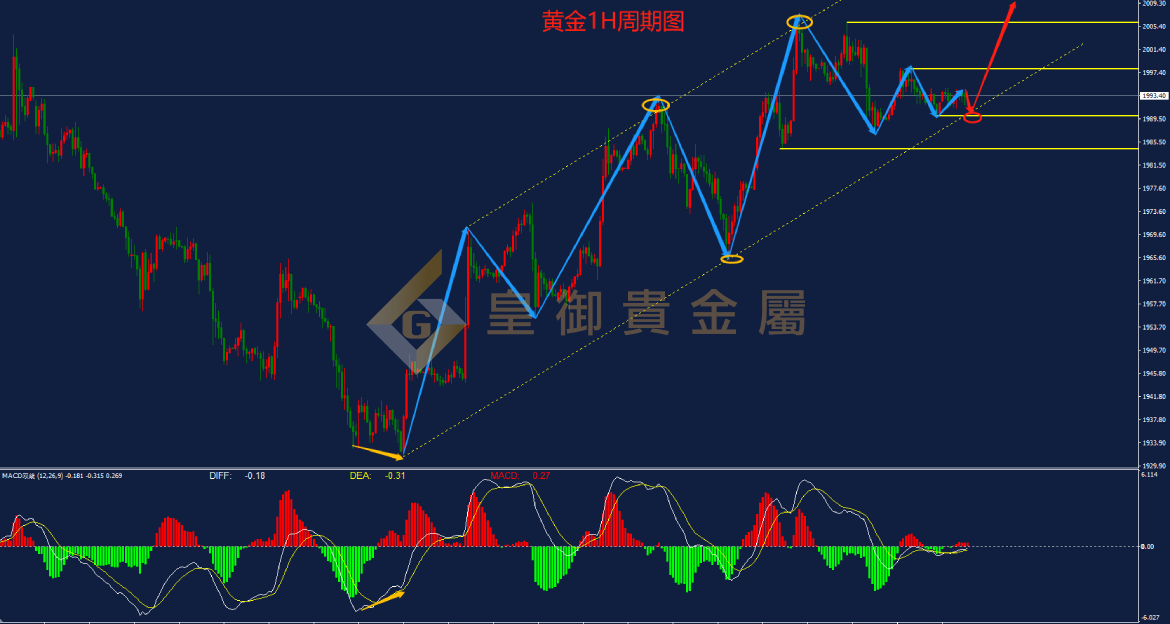 皇御黄金走势图 皇御黄金走势图