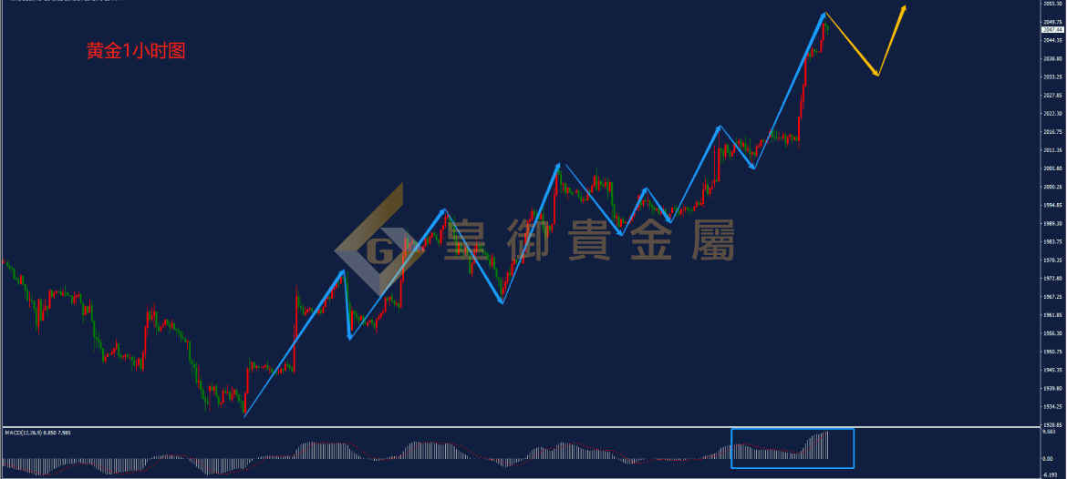 皇御黄金走势图