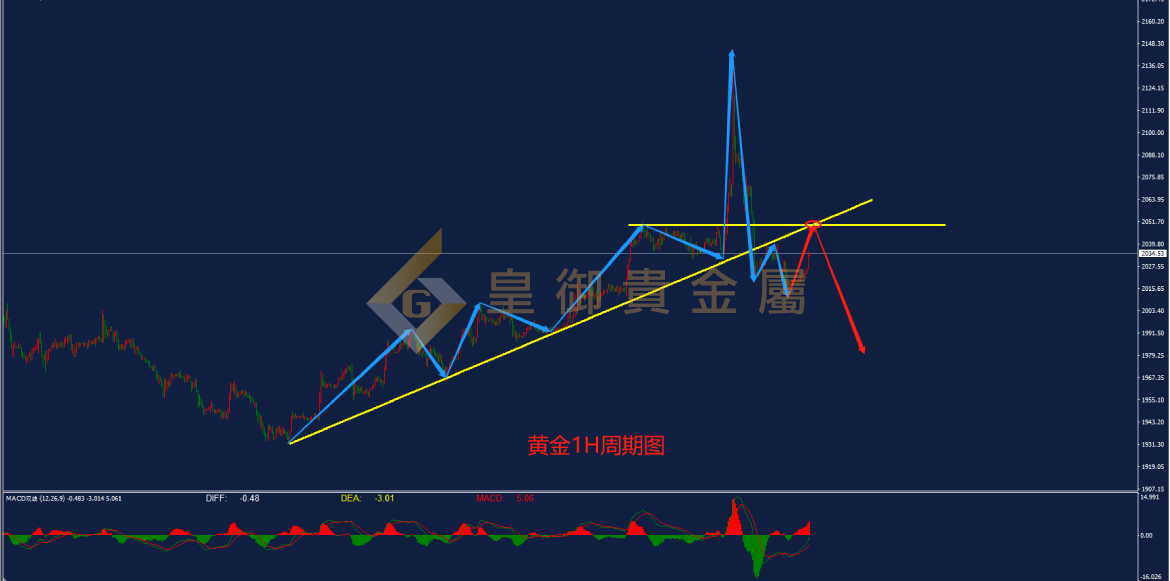皇御黄金走势图