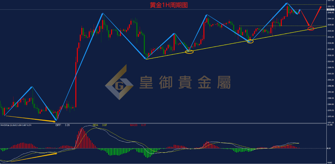 皇御黄金走势图