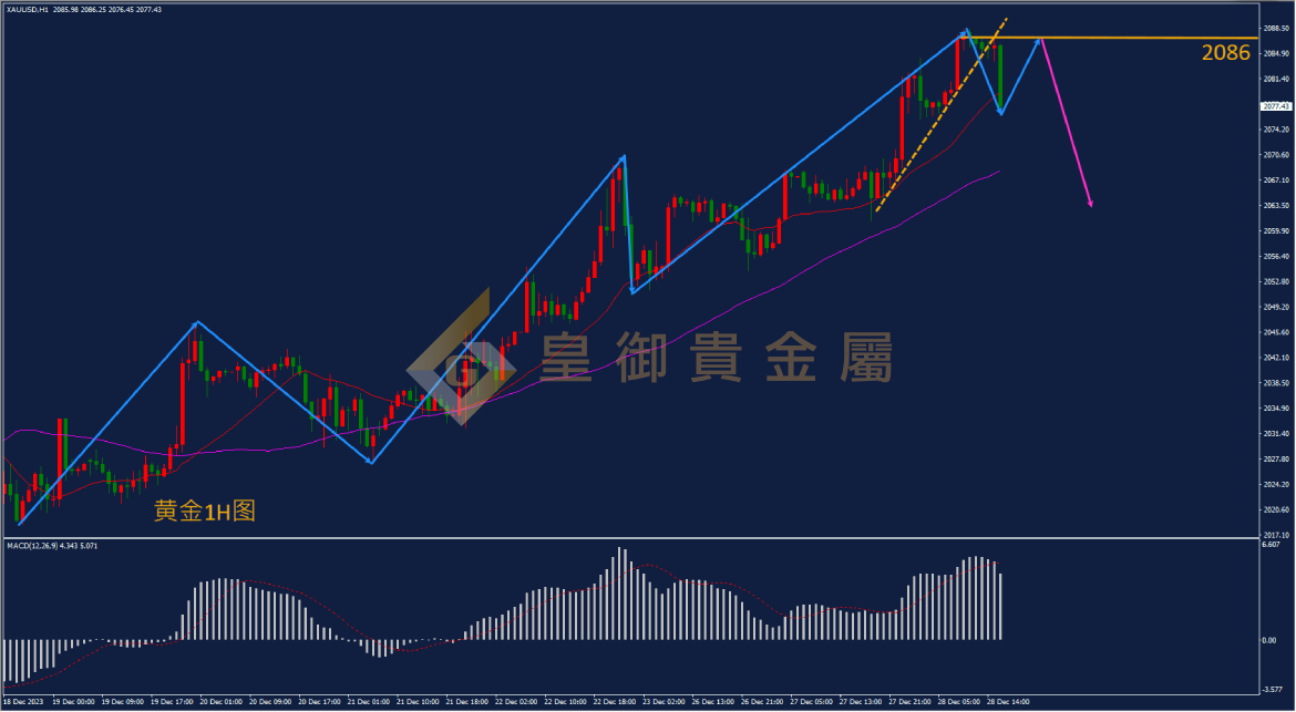 皇御黄金走势图