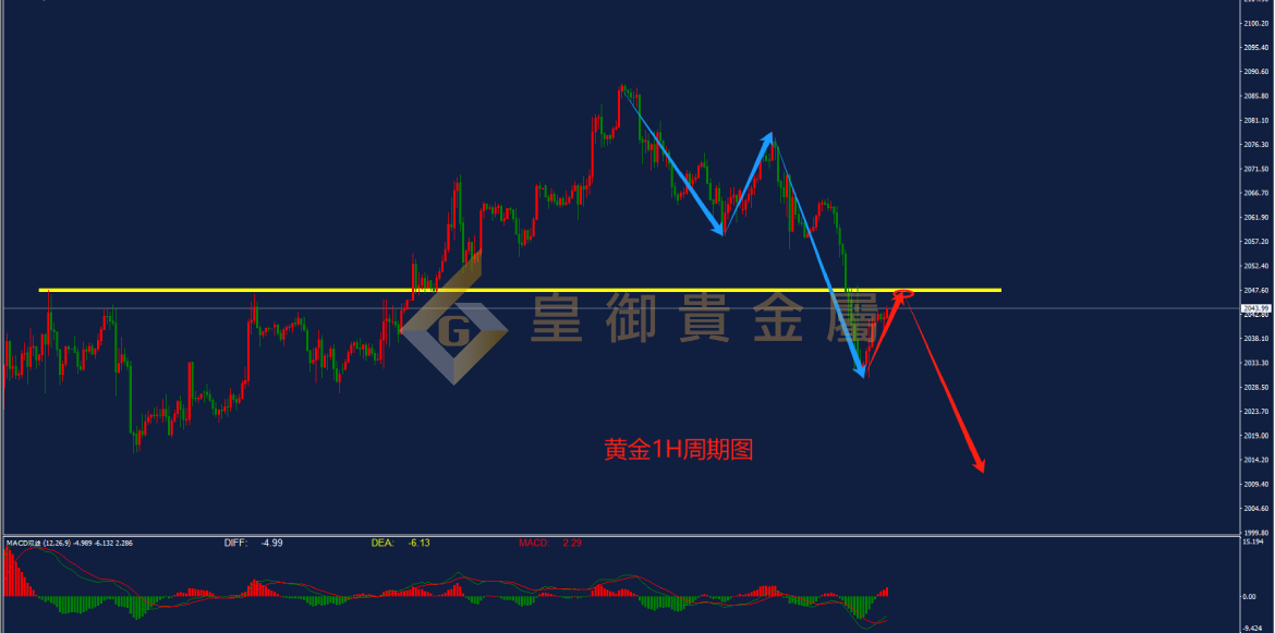 皇御黄金走势图 皇御黄金走势图
