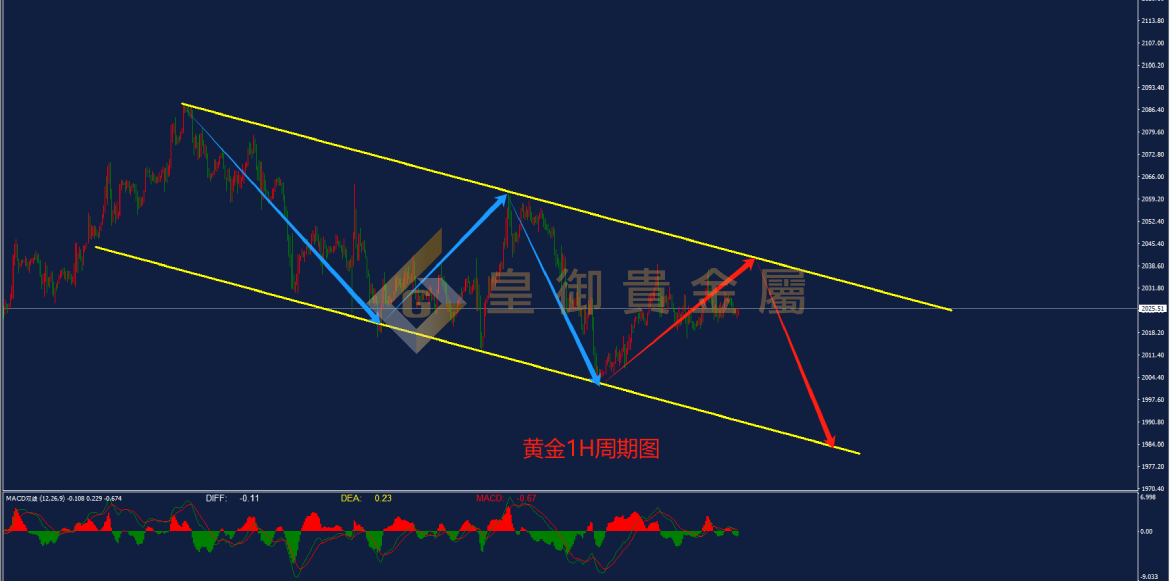 皇御黄金走势图 皇御黄金走势图