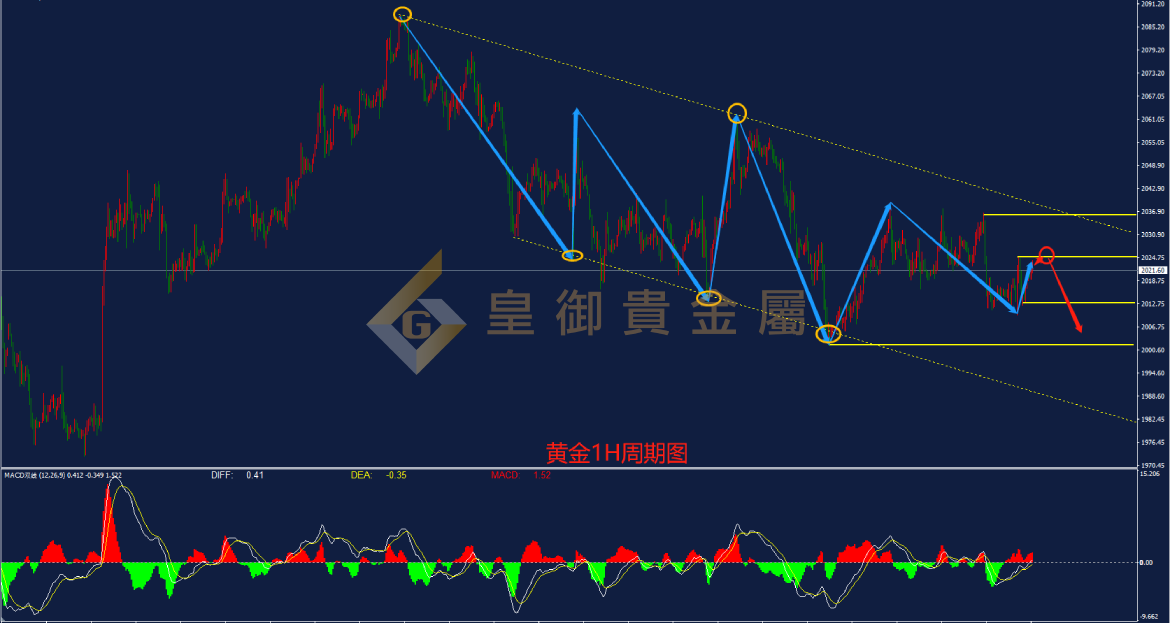 皇御黄金走势图