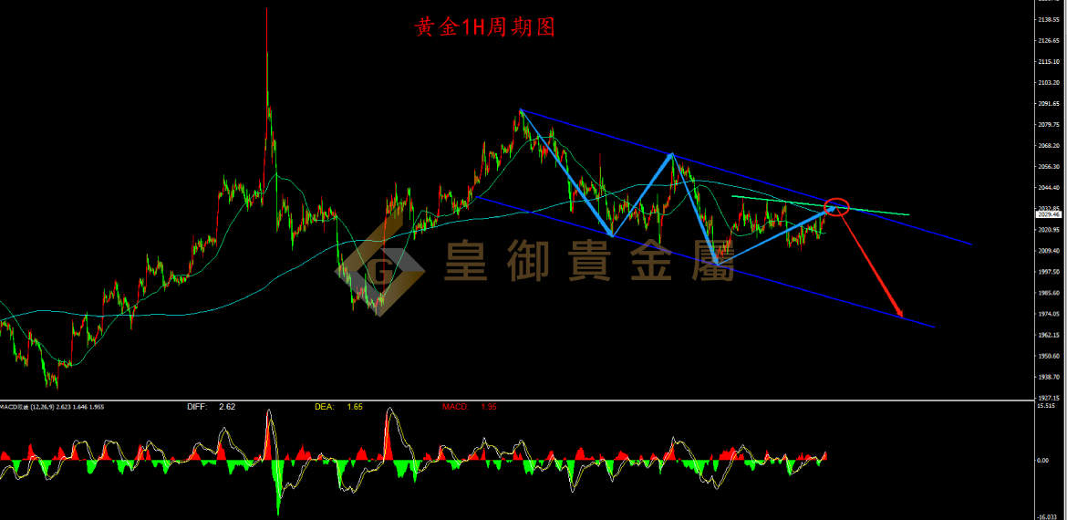 皇御黄金走势图
