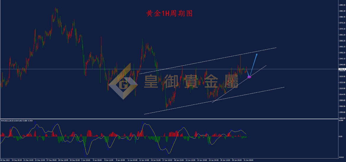 皇御黄金走势图