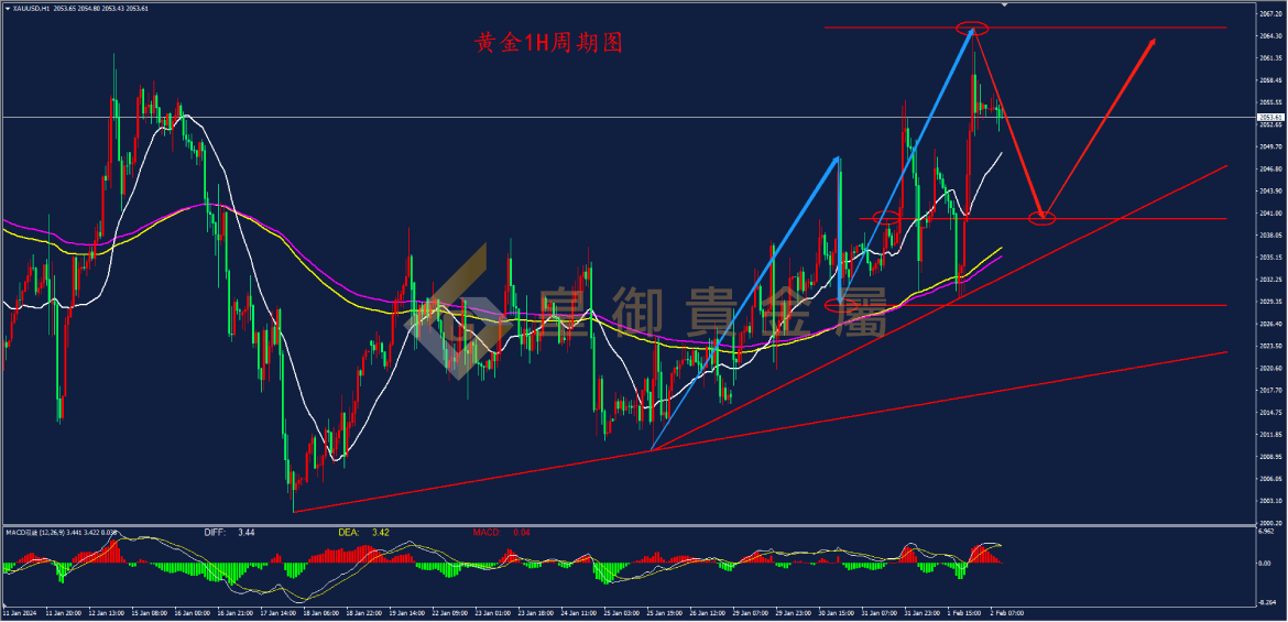 皇御黄金走势图 皇御黄金走势图
