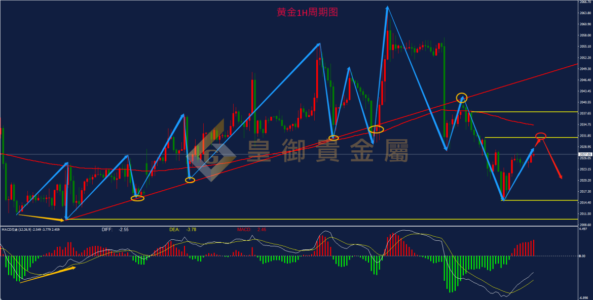 皇御黄金走势图