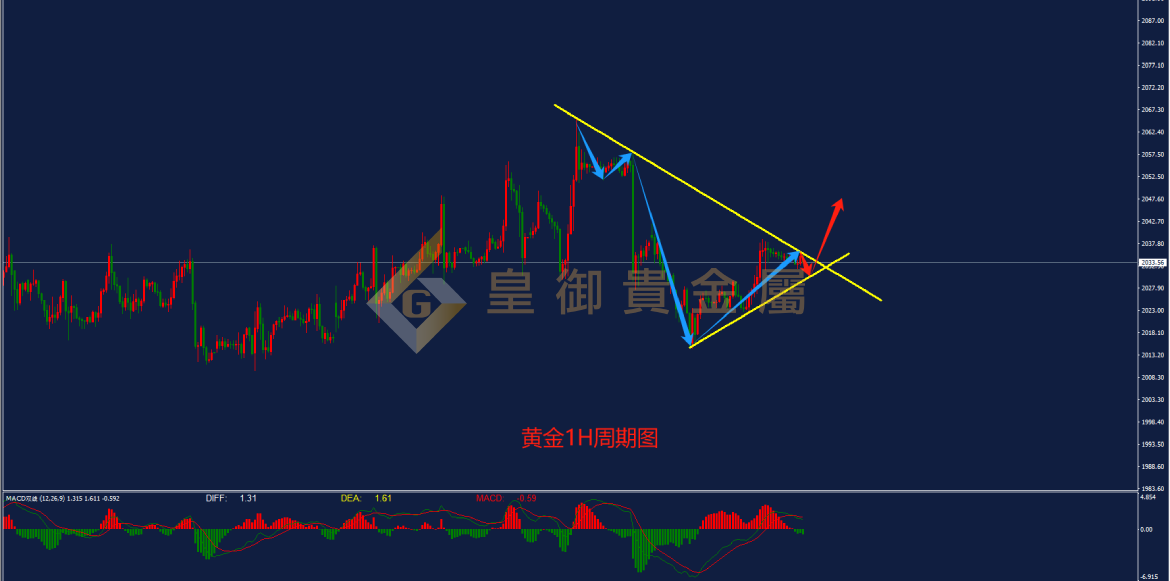 皇御黄金走势图