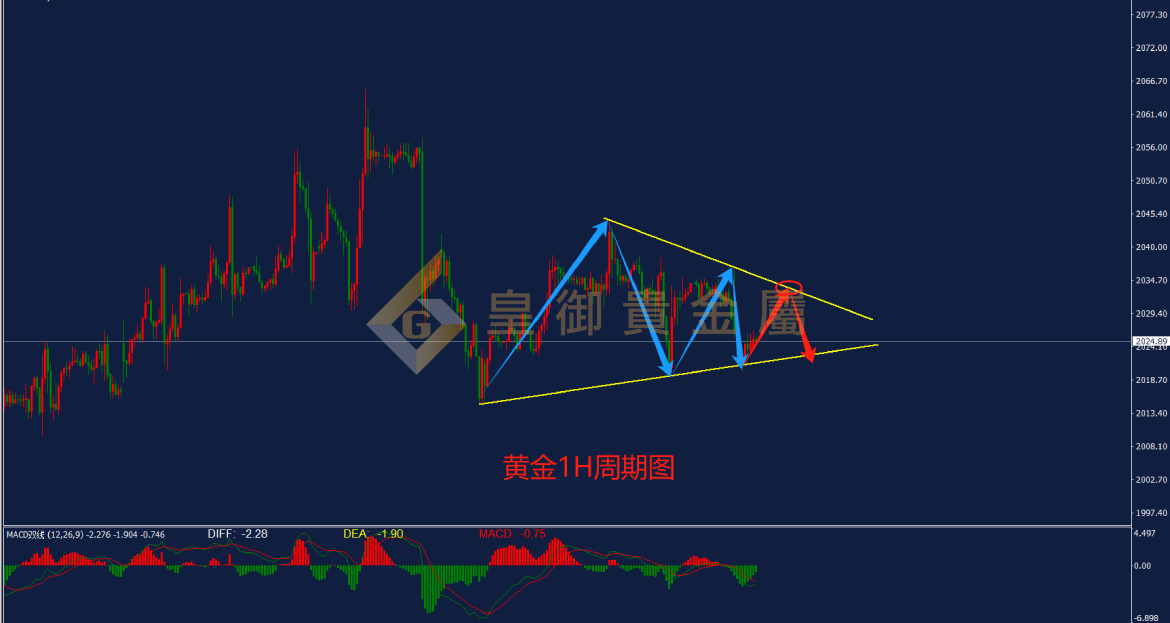 皇御黄金走势图