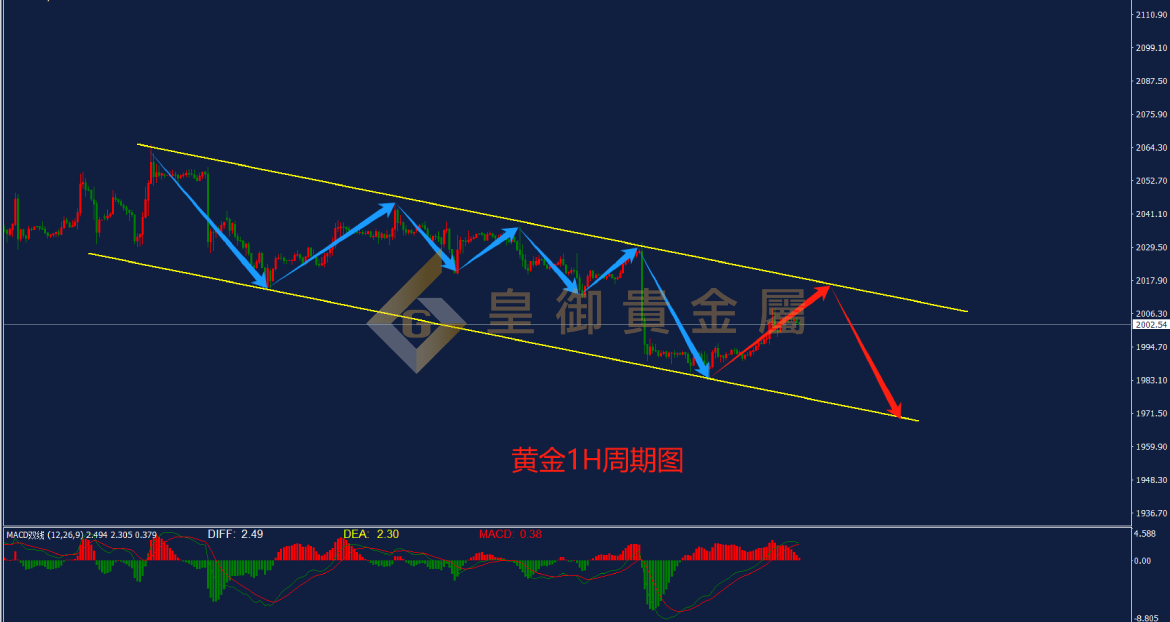 皇御黄金走势图 皇御黄金走势图