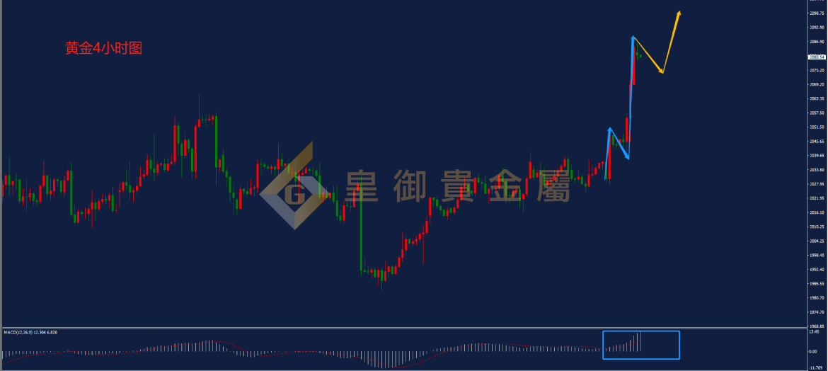 皇御黄金走势图