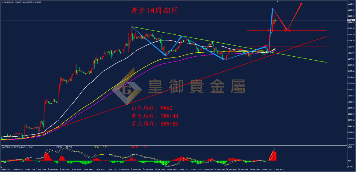 皇御黄金走势图