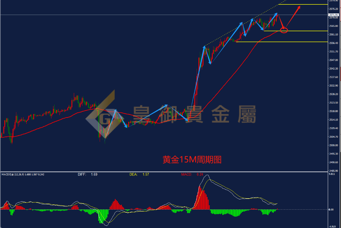 皇御黄金走势图 皇御黄金走势图