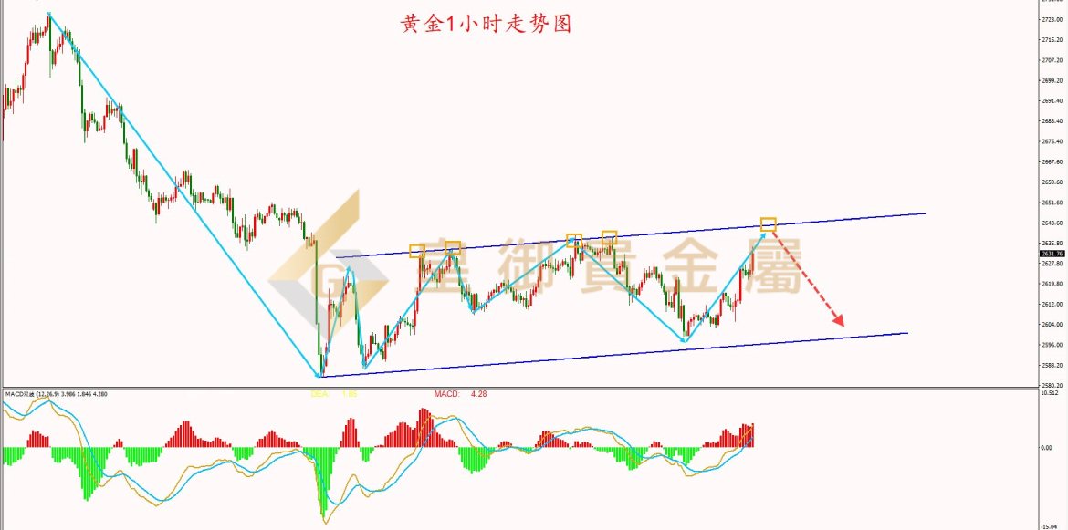 皇御黄金走势图 皇御黄金走势图