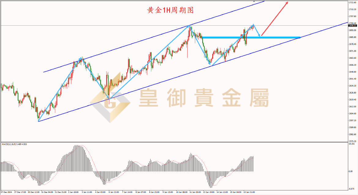 皇御黄金走势图