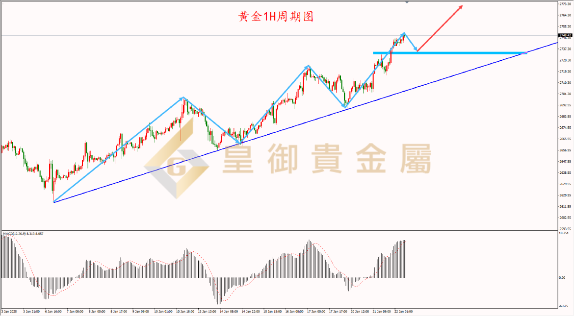 皇御黄金走势图