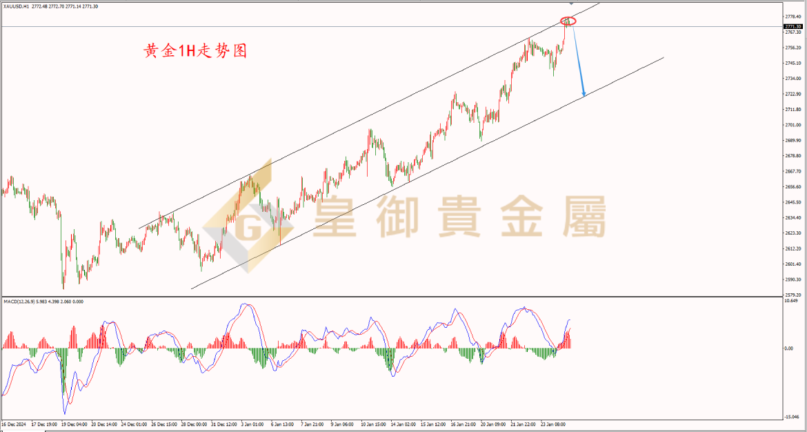 皇御黄金走势图