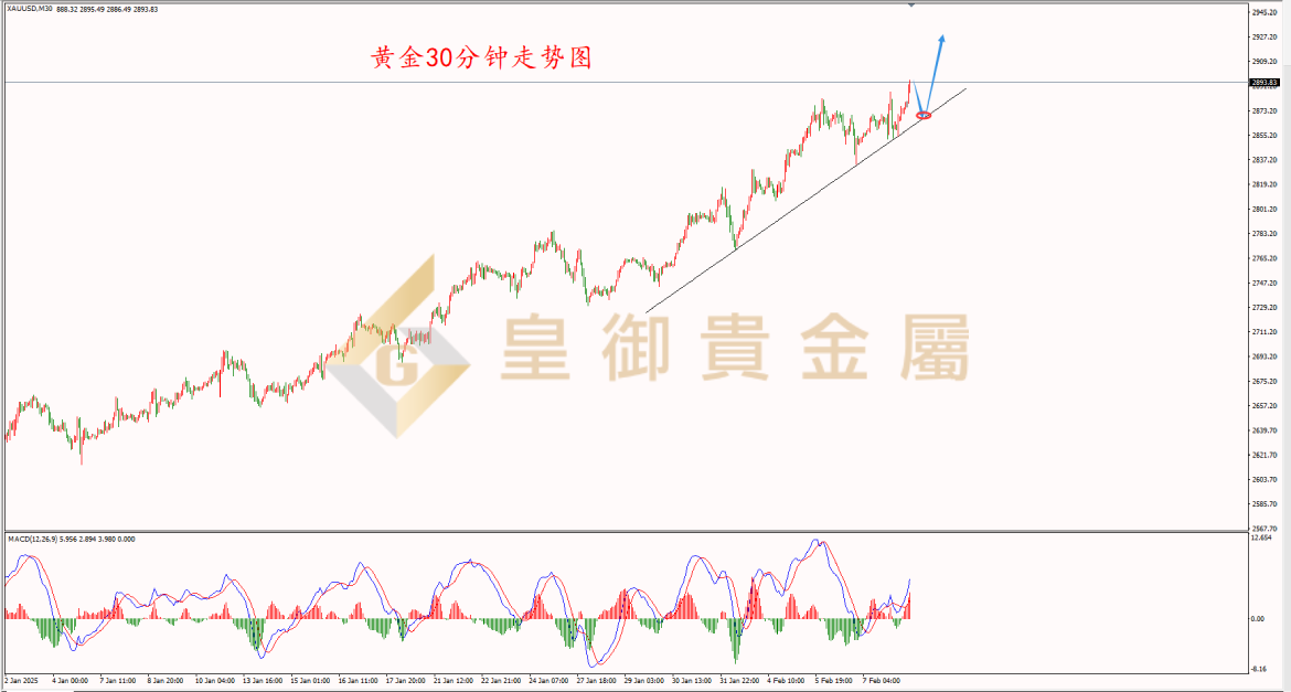 皇御黄金走势图 皇御黄金走势图