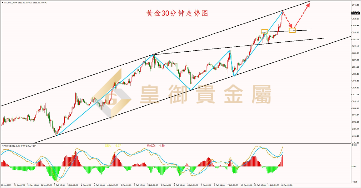 皇御黄金走势图