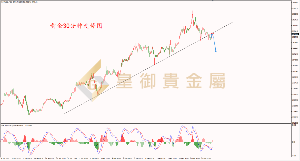 皇御黄金走势图 皇御黄金走势图