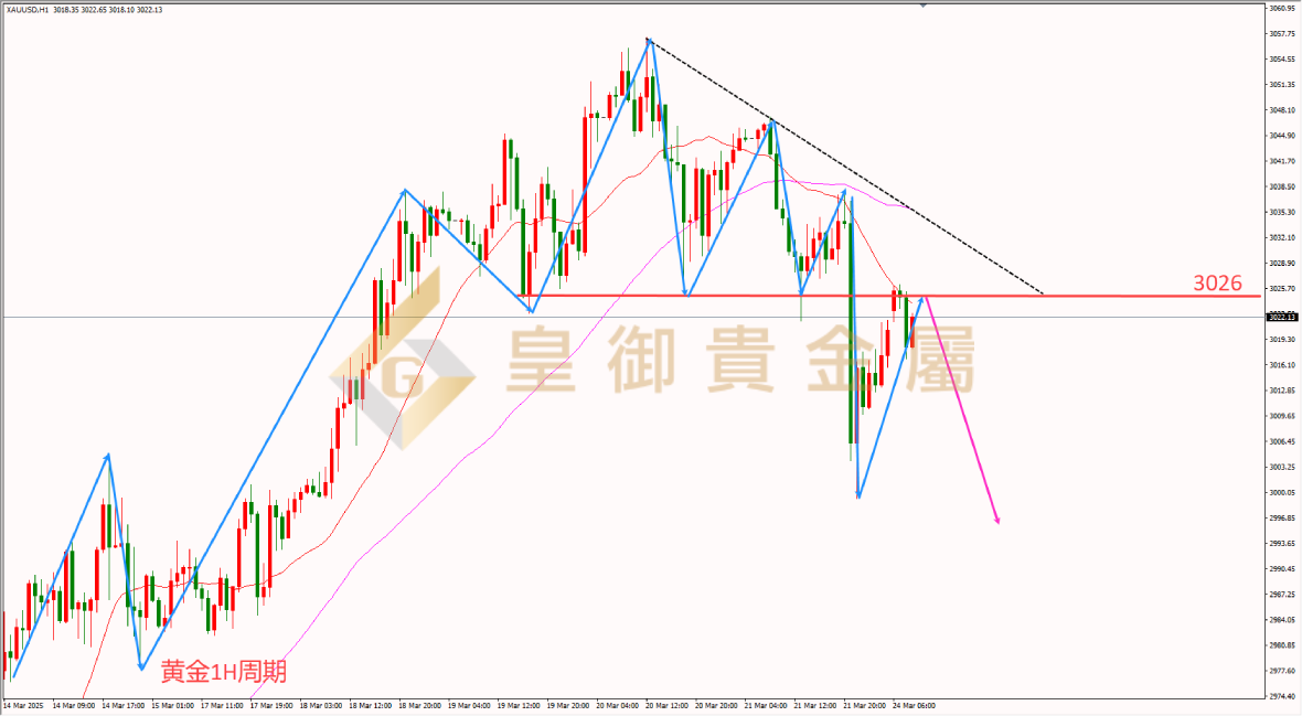 皇御黄金走势图 皇御黄金走势图