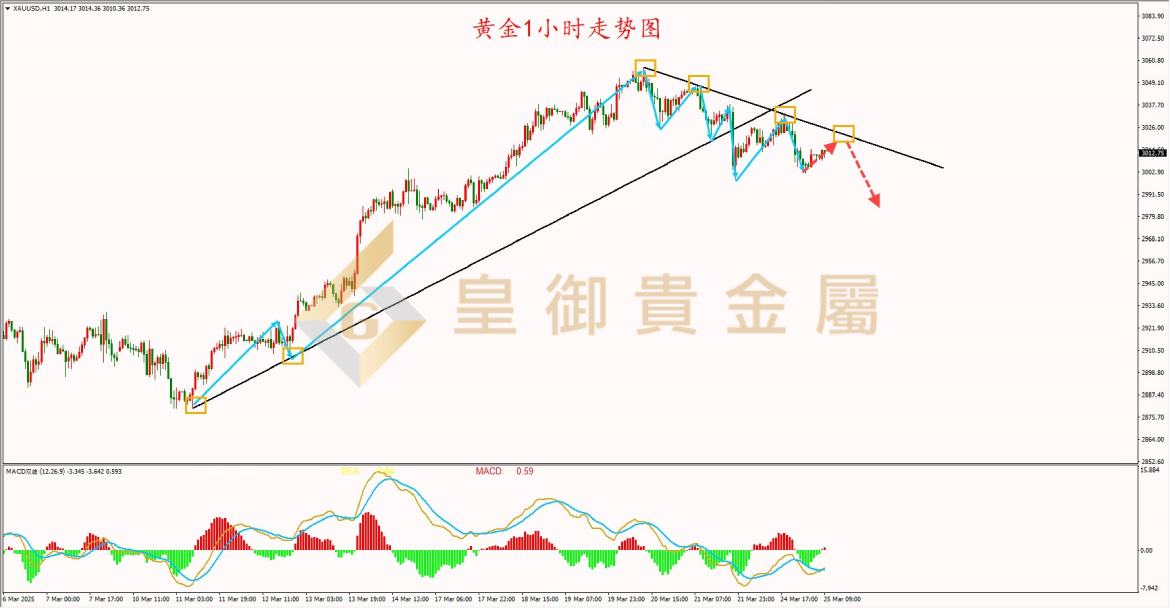 皇御黄金走势图