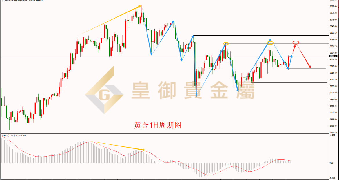 皇御黄金走势图